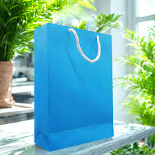 Return Gift Bag
